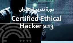 Certified Ethical Hacker v.13 (CEH)