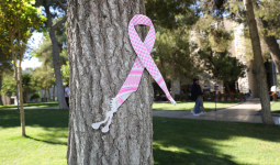 Think pink